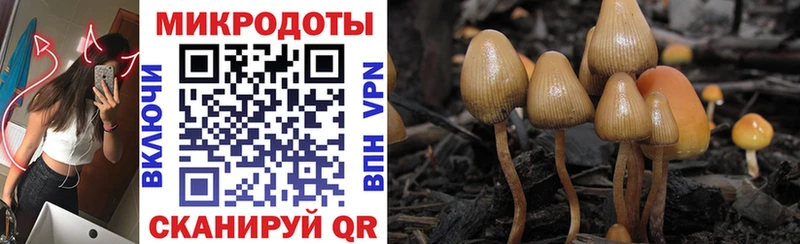 Псилоцибиновые грибы GOLDEN TEACHER  дарк нет наркотические препараты  Белоярский  MEGA как зайти 