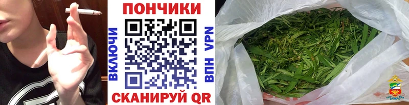 Бошки марихуана гибрид Белоярский